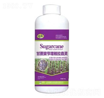 1000g甘蔗拔節(jié)增粗拉直靈-榮耀農(nóng)業(yè)