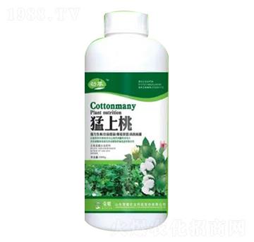 1000g猛上桃瓶裝葉面肥-榮耀農(nóng)業(yè)