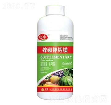 1000g鋅硼鉀鈣鎂-榮耀農(nóng)業(yè)