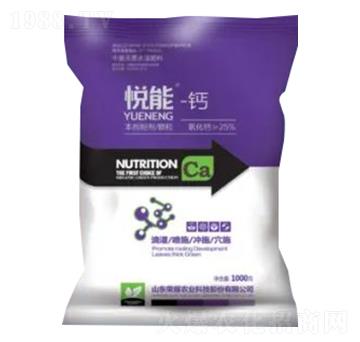 ����-�}-�sҫ�r�I(y��)