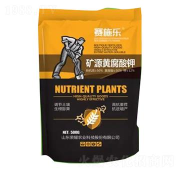 �VԴ�S�����-ِʩ��-�sҫ�r�I(y��)