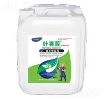 �~ϲ��-΢�������-�sҫ�r�I(y��)