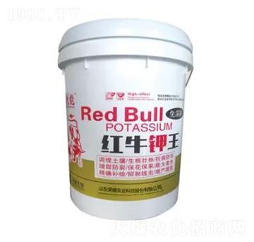 �tţ���-�sҫ�r(n��ng)�I(y��)