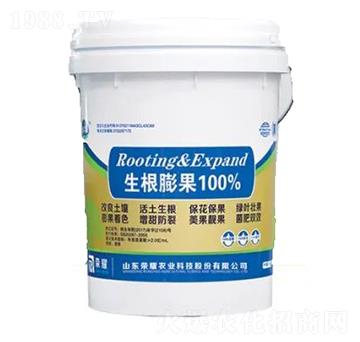 �������-�sҫ�r�I(y��)