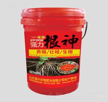 ��������-���d����