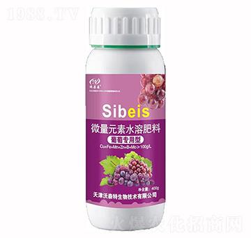 ���ь�����΢��Ԫ��ˮ�ܷ���-��ɭ��