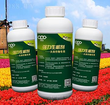 ��(qi��ng)������������������ã�-���ɿ�