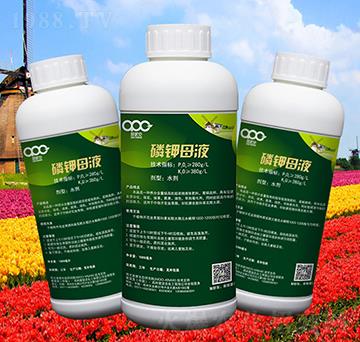 ���ĸҺ-���ɿ�