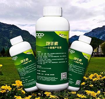 小麥增產(chǎn)專用葉面肥-飽豐素-愛派克