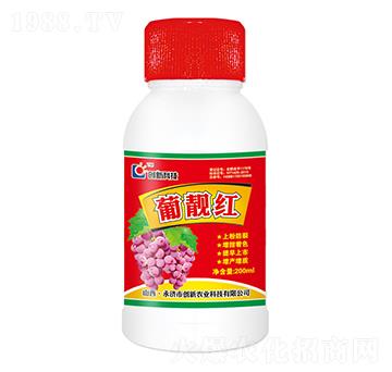 200ml���n�t�~���-��(chu��ng)�¿Ƽ�