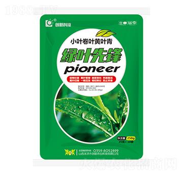 250g小葉卷葉黃葉青-綠葉先鋒-創(chuàng)新科技