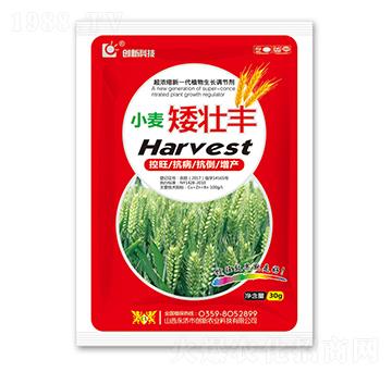 30g小麥矮壯豐-創(chuàng)新科技