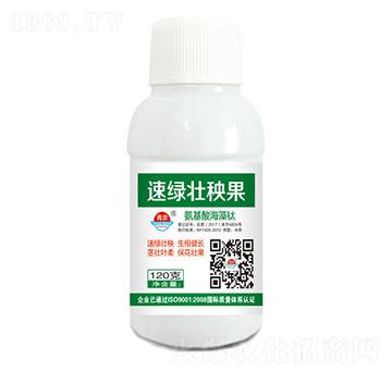 含氨基酸水溶肥料-速綠壯秧果-青農(nóng)奇寶
