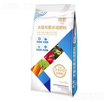 大量元素水溶肥料19-19-19+C+TE-豐耘九州