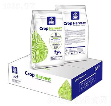 5kg大量元素水溶肥料17-17-17+TE-禾苒生物