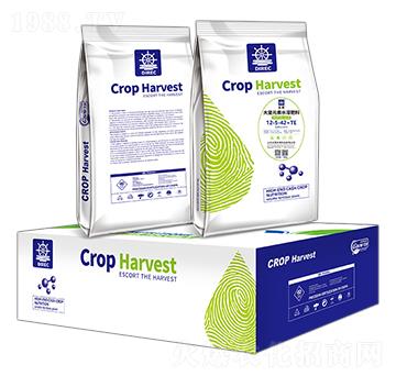 大量元素水溶肥料12-5-42+TE-禾苒生物