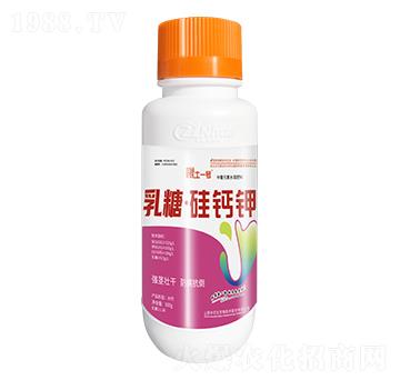 ����Ԫ��ˮ�ܷ���-���ǡ����}�-����һ̖-���r(n��ng)��