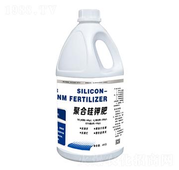 �ۺϹ�⛷�-����һ̖-���r(n��ng)��