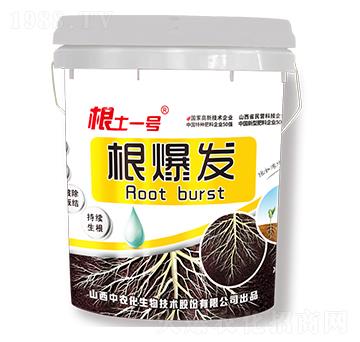 �����l(f��)-����һ̖-���r(n��ng)��