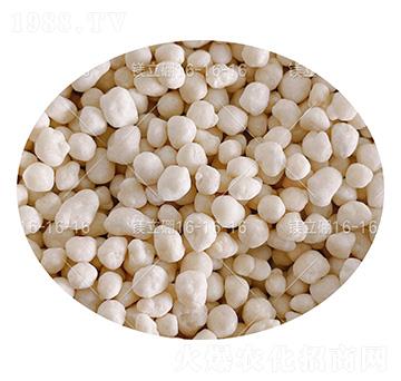 ������͏�(f��)�Ϸ��ϣ��w����16-16-16-�V����-���컯