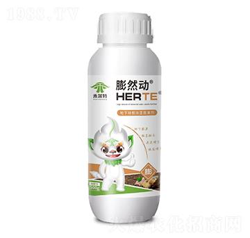 地下塊根塊莖膨果劑-膨然動-禾爾特