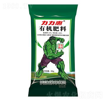 ���ĸ��}�ЙC����-����������