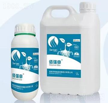 佰強(qiáng)申-?？颂m德