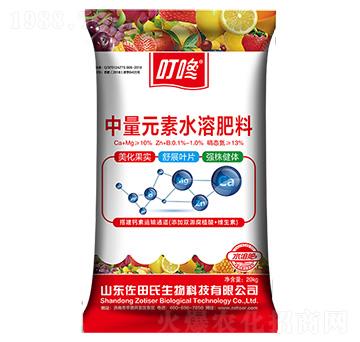 ��������Ԫ�أ��t�b��-