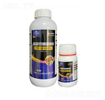 �����}�V���F�\-��������