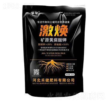 �VԴ�S�����-����-�̽�