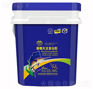 ���Ǵ󶹵����ģ��{(l��n)��-�����S