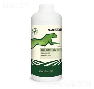 �x�ӹ�-���}��S��-�G���_(d��)