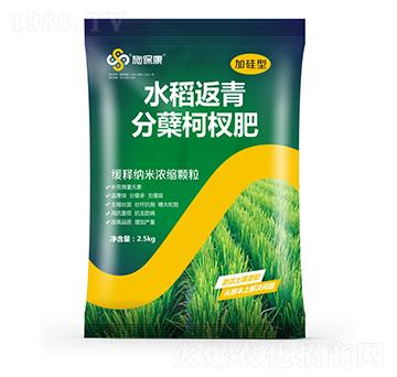 加硅型水稻返青分蘗柯杈肥-施?？? />
                                </div>
                            </div>
                            
                            <style type=