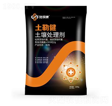 ����̎�턩-���ս�-ʩ����