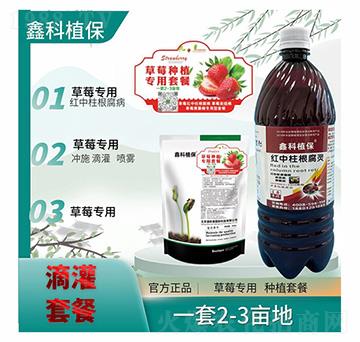 �t���������`-�ο�ֲ��