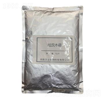 ��һ΢�������-����ľù��-��������