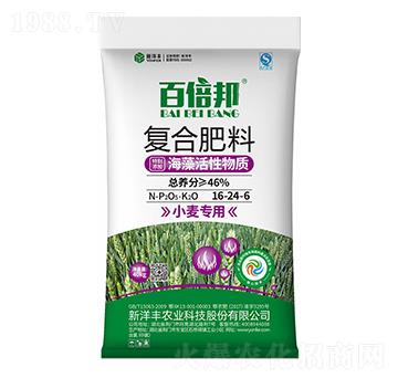 小麥專用海藻活性復合肥料16-24-6-百倍邦-新洋豐肥業(yè)