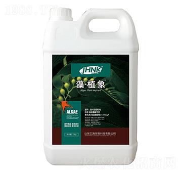 藻·植象-巨海生物