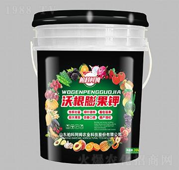 沃根膨果鉀-柏科阿姆