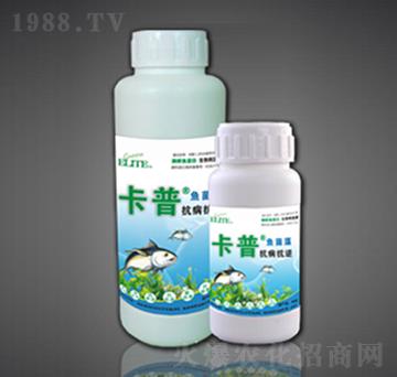 酶解魚(yú)蛋白葉面型-抗病抗逆-綠金高新