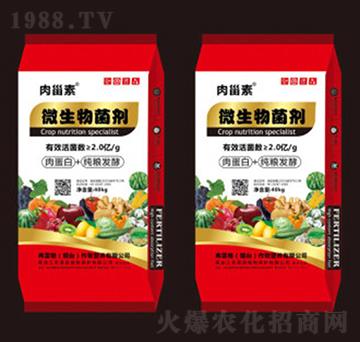 ΢��������⵰��+���Z�l(f��)��-���׸�