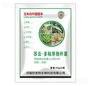 蘇云·多粘芽孢桿菌-玉米白葉粗縮凈-好美特