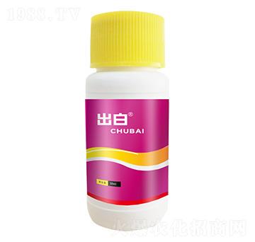 ����-������