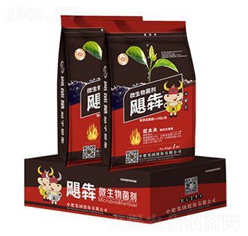 微生物菌劑-颶犇-中魯肥業(yè)