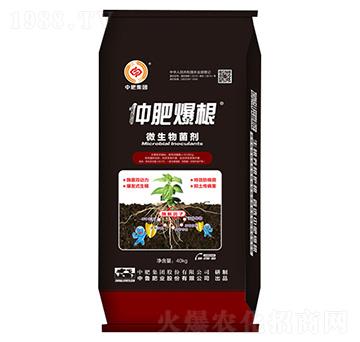 40kg微生物菌劑-中肥爆根-中魯肥業(yè)
