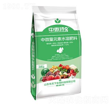 ��ʩ����΢��Ԫ��-��΢��9-�S����