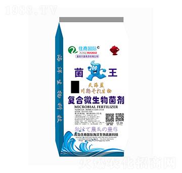 復(fù)合微生物菌劑-菌王-住商國際