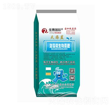 ����΢�������-�캣�{(l��n)-ס�̇��H