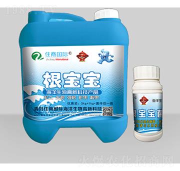 根寶寶-住商國(guó)際