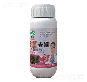 �o��-��������